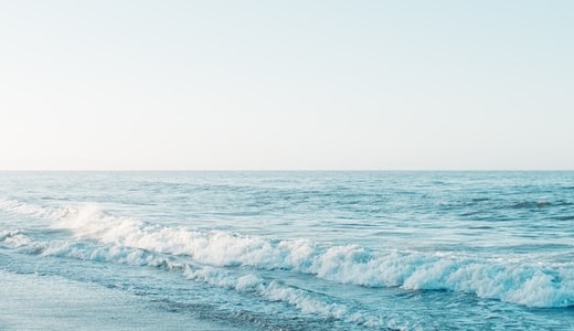 パラバトの殊現 逆徒の粛清は引くべき？評価まとめ